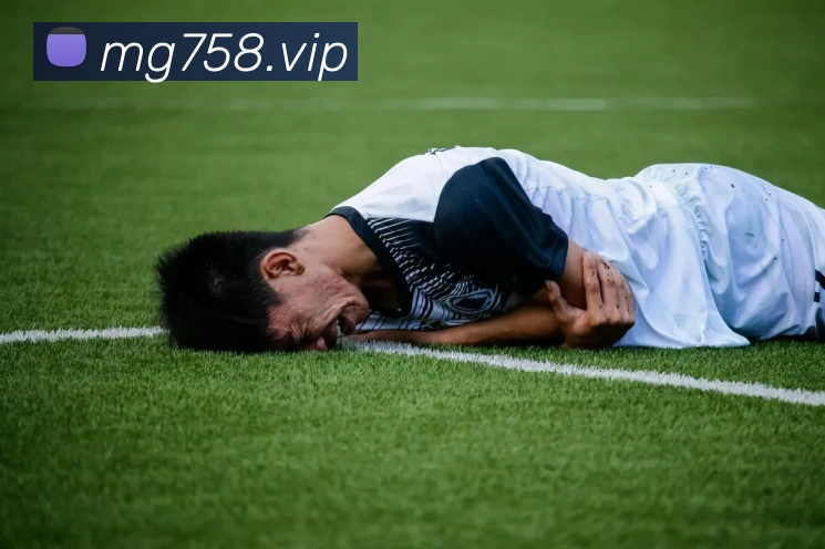 奖项4